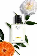 Inspired by Čh@nÈl N0.5 Perfume ( Worn by S@ra ali Kh@n )